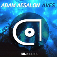 Adam Aesalon - Aves