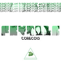 DJ Bruno Furlan - Fryzzle