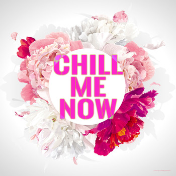 Various Artists - Chill Me Now