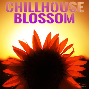 Various Artists - Chillhouse Blossom