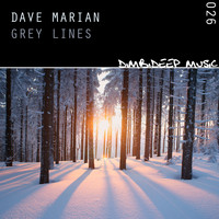 Dave Marian - Grey Lines