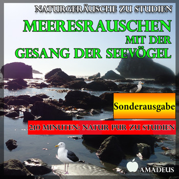 Amadeus - Naturgeräusche zu Studien: Meeresrauschen mit der Gesang der Seevögel: Sonderausgabe