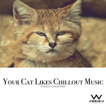 Various Artists - Your Cat Likes Chillout Music - Chillout Collection