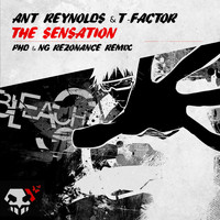 Ant Reynolds & T-Factor - The Sensation (NG Rezonance & PhD Remix)