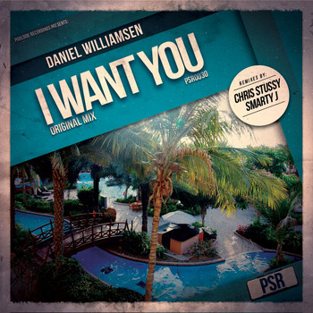 Daniel Williamsen - I Want You