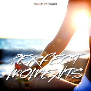 Various Artists - Perfect Moments