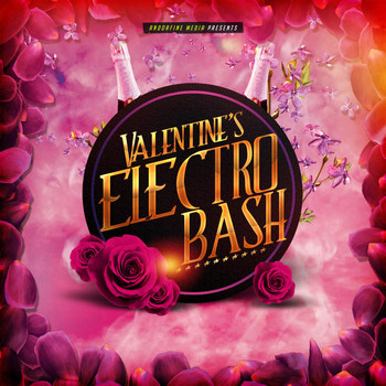 Various Artists - Valentine's Electro Bash