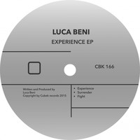 Luca Beni - Experience