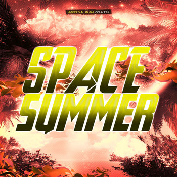 Various Artists - Space Summer