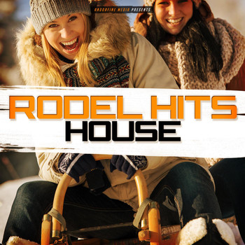 Various Artists - Rodel Hits House