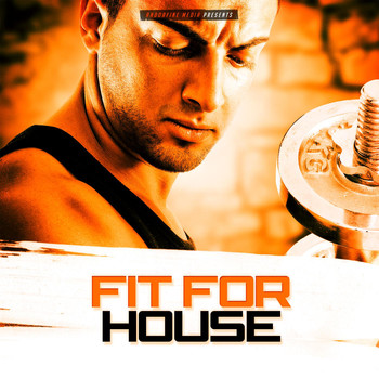 Various Artists - Fit for House