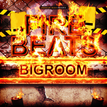 Various Artists - Fire Beats Bigroom
