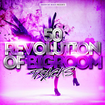 Various Artists - 50 Revolution of Bigroom Tracks