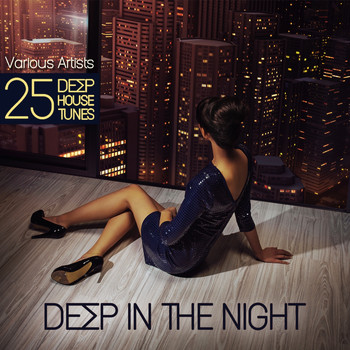 Various Artists - Deep in the Night (25 Deep House Tunes)