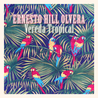 Ernesto Hill Olvera - Vereda Tropical