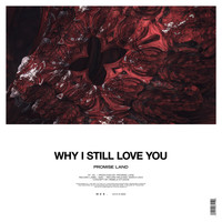Promise Land - Why I Still Love You