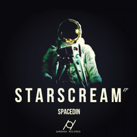 SpaceDin - Starscream