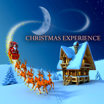 Various Artists - Christmas Experience
