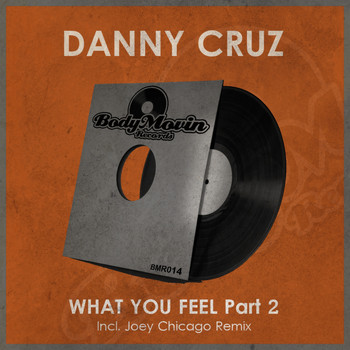 Danny Cruz - What You Feel, Pt. 2