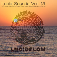 Nadja Lind - Lucid Sounds, Vol. 13 - A Fine and Deep Sonic Flow of Club House, Electro, Minimal and Techno