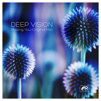 Deep Vision - Missing You