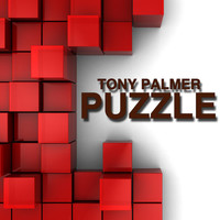 Tony Palmer - Puzzle