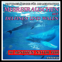 Amadeus - Naturgeräusche für die Meditation: Meeresrauschen mit Delfinen und Walen