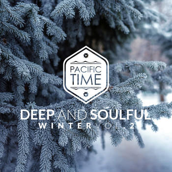 Various Artists - Deep and Soulful Winter Vol.2 (20 Great Deep House Tracks)