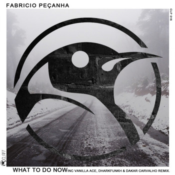 Fabricio Pecanha - What To Do Now