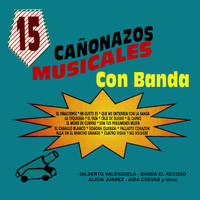 Various Artists - 15 Canonazos Musicales Con Banda