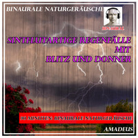 Amadeus - Binaurale Naturgeräusche: sintflutartige Regenfälle mit Blitz und Donner