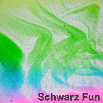 Various Artists - Schwarz Fun (Explicit)