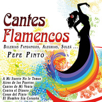 Pepe Pinto - Cantes Flamencos: Bulerias Fandangos, Alegrias, Soleá ...