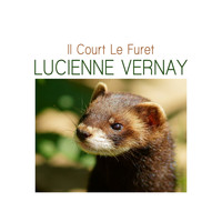 Lucienne Vernay - Il court le furet