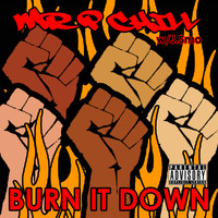 Mr. P Chill - Burn It Down (Explicit)