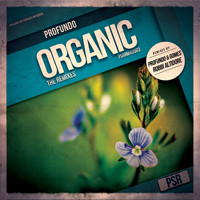 Profundo - Organic (The Remixes)