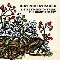 Dietrich Strause - Little Stones to Break the Giant's Heart