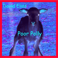 David Elias - Poor Polly
