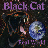 Black Cat - Real World