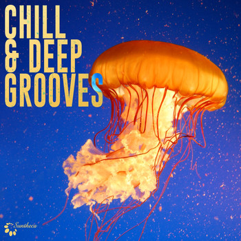 Various Artists - Chill & Deep Grooves