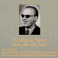 Wolfgang Sauer - Veni, vidi, vici, Teil 1
