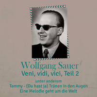 Wolfgang Sauer - Veni, vidi, vici, Teil 2