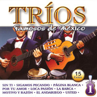 Los 3 De México - Tríos Famosos de México, Vol. 1 - 15 Éxitos