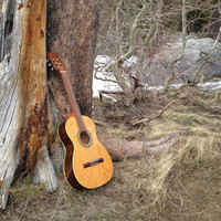 Peter Pupping - The Field