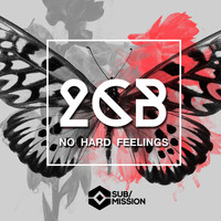 2CB. - No Hard Feelings