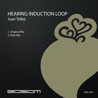 Juan Tellez - Hearing Induction Loop
