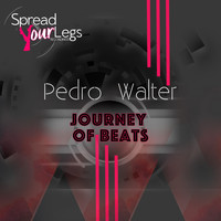 Pedro Walter - Journey of Beats