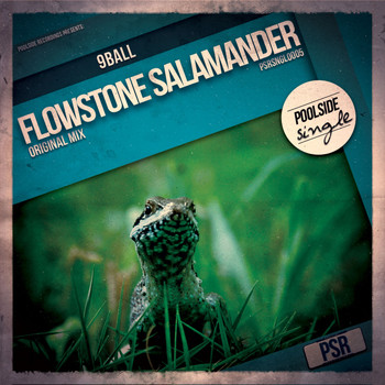 9Ball - Flowstone Salamander