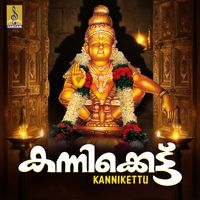 Vishnu K.G - Kannikkettu