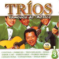 Los 3 De México - Tríos Famosos de México, Vol. 3 - 15 Éxitos